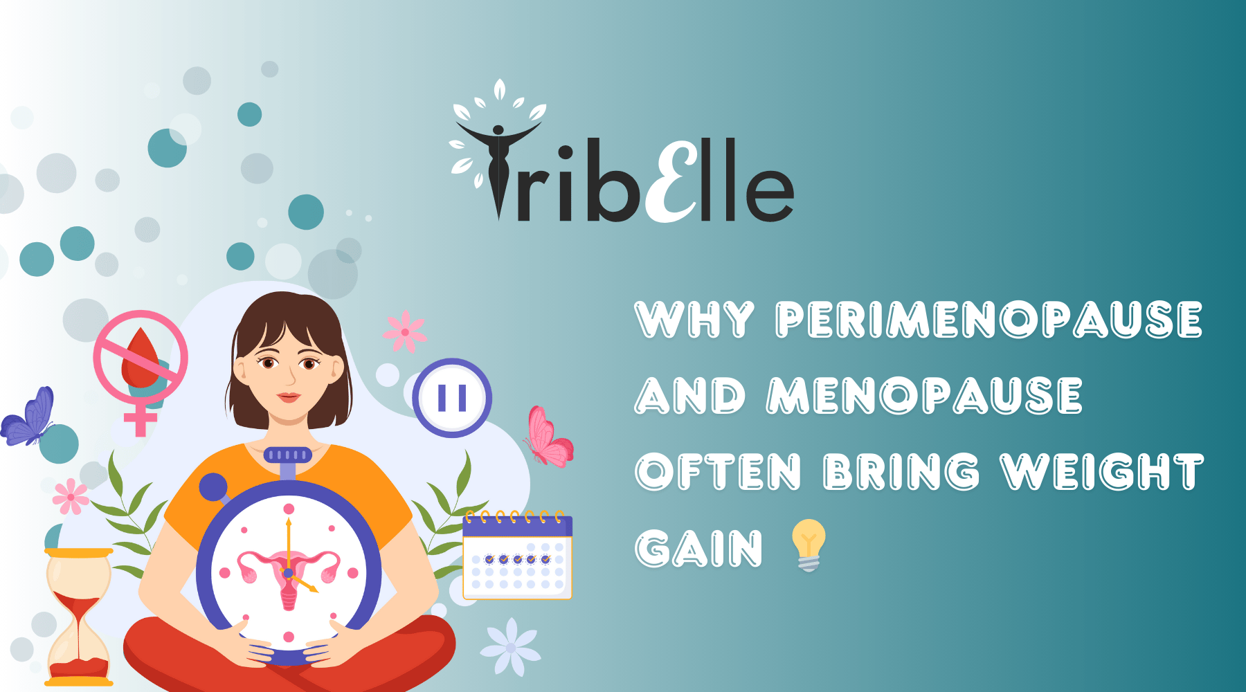 Why perimenopause and menopause often bring weight gain blog header - TribElle women's health - woman with reproductive system diagram, calendar, and menopause symbols showing hormonal changes and metabolic shifts during midlife transition